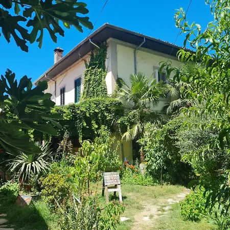 旅馆 Mi Casa Es Tu Casa - Backpackers