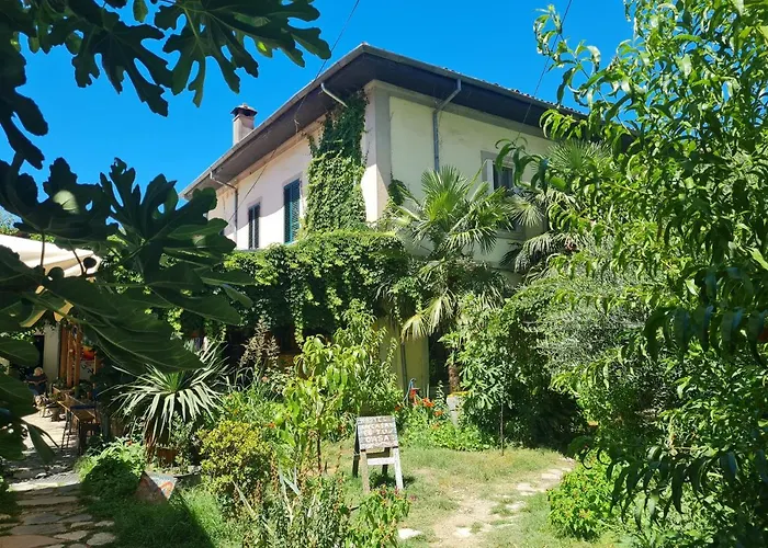 Hostal Mi Casa Es Tu Casa - Backpackers