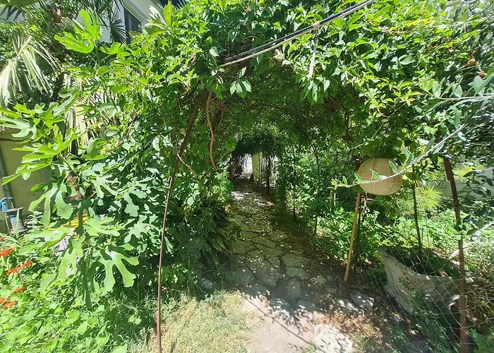 Hostal Mi Casa Es Tu Casa - Backpackers *