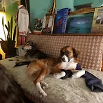 Mi Casa Es Tu Casa - Backpackers