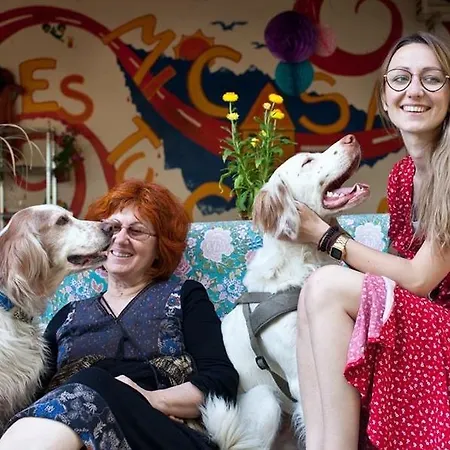 Mi Casa Es Tu Casa - Backpackers Albergue