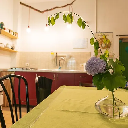 Mi Casa Es Tu Casa - Backpackers