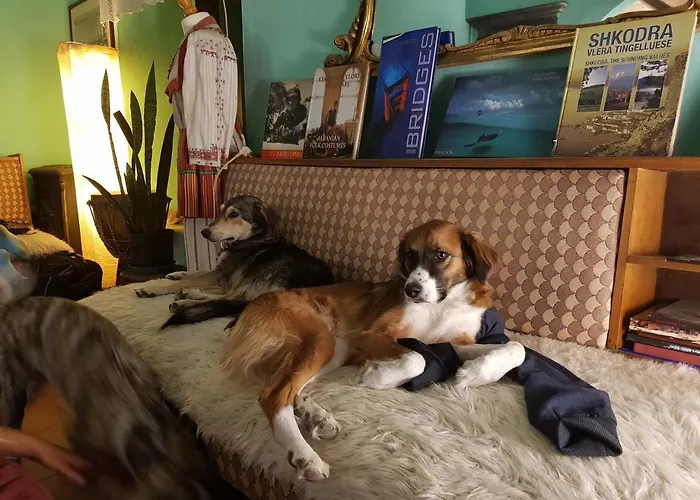 Mi Casa Es Tu Casa - Backpackers